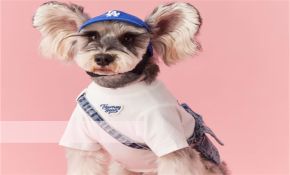 汤尼熊春夏狗狗衣服款式如何