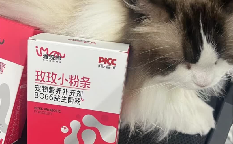 宠物益生菌和普通肠胃产品有啥不一样？爱宠都凸显核心优势