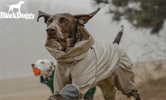 Blackdoggy属于杂牌子吗 Blackdoggy属于杂牌子吗