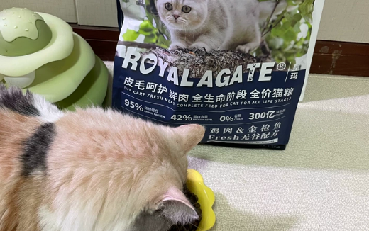 皮毛亮泽肠胃舒!皇玛royalagate猫粮,全阶段猫咪的营养优选 皮毛亮泽肠胃舒!皇玛royalagate猫粮,全阶段猫咪的营养优选