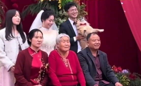 婚礼仪式结束后拍全家福,狗狗主动上台找位置加入 婚礼仪式结束后拍全家福,狗狗主动上台找位置加入