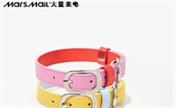 火星来电宠物项圈在哪里买