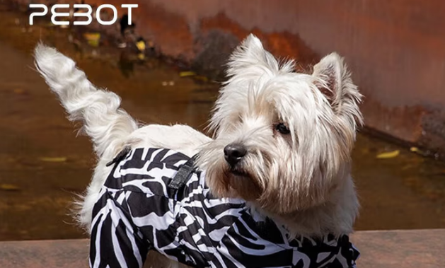 pebot狗狗衣服多少钱 pebot狗狗衣服多少钱