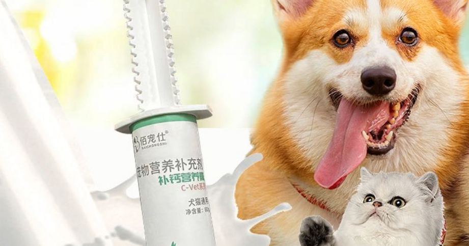 佰宠仕:宠物补钙的重要性,你真的了解吗? 佰宠仕:宠物补钙的重要性,你真的了解吗?