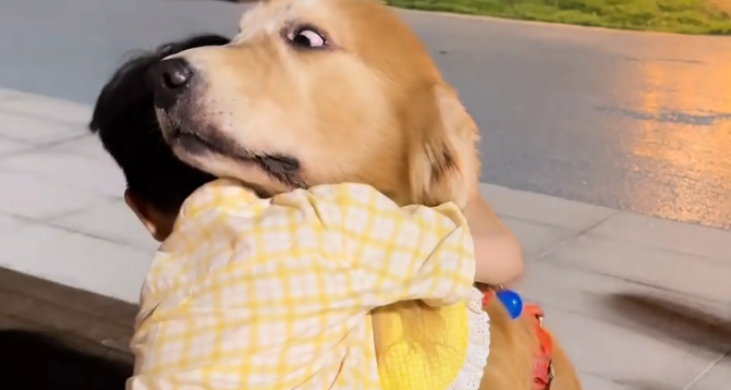 小男孩想摸狗子,结果却一把紧紧搂住狗子的脖子 小男孩想摸狗子,结果却一把紧紧搂住狗子的脖子