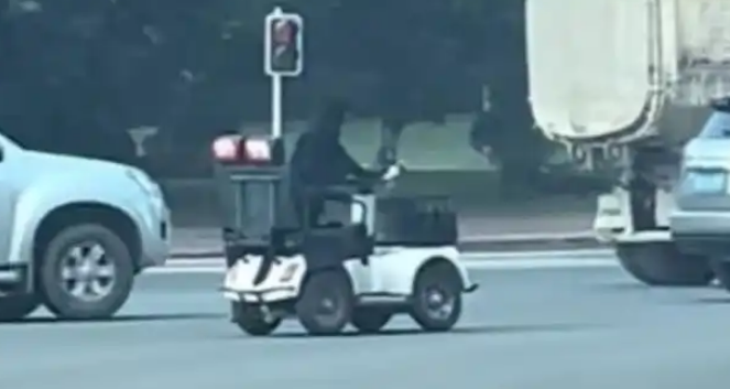 眉山奇闻:狗子开车体验生活,谁为这份奇葩宠爱买单? 眉山奇闻:狗子开车体验生活,谁为这份奇葩宠爱买单?