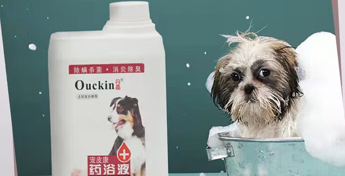 宠物药浴用什么药？一瓶丹晶轻松搞定宠物皮肤问题