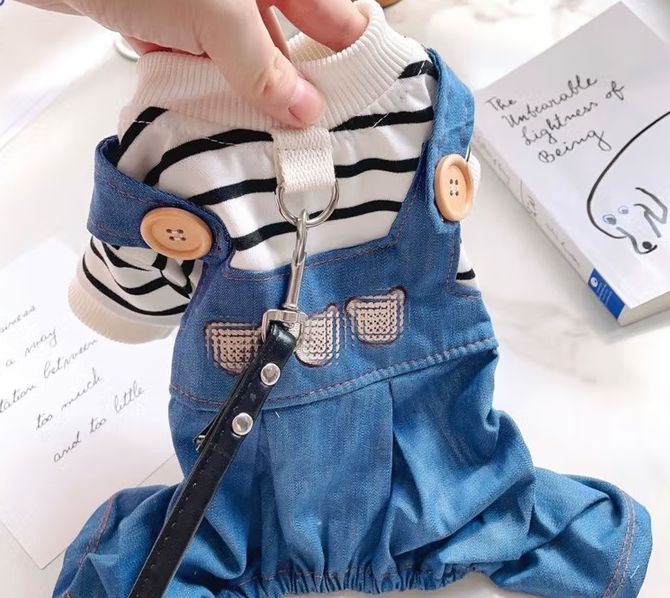 Pettention宠物服饰好不好 Pettention宠物服饰好不好