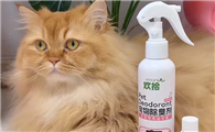 猫咪除臭剂对猫咪好吗？欢拾生物酶配方守护猫咪健康安全