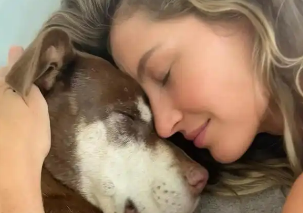 美运动员自曝饲养已故爱犬克隆体:由意图“复活恐狼”公司完成 美运动员自曝饲养已故爱犬克隆体:由意图“复活恐狼”公司完成