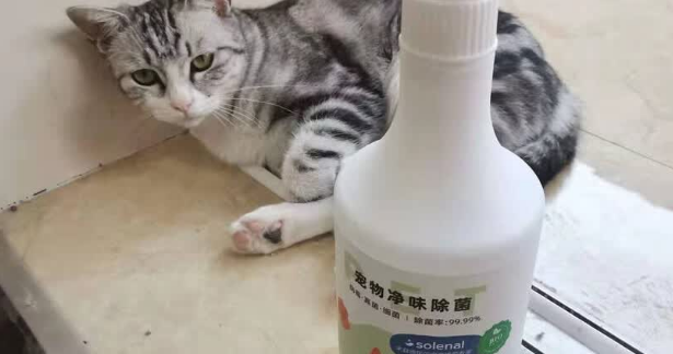 Solenal宠物去味剂喷能喷宠物身上吗 Solenal宠物去味剂喷能喷宠物身上吗