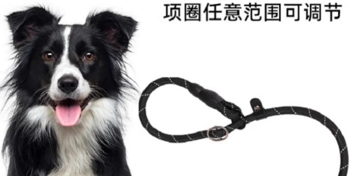 边牧专用牵引绳有哪些？宇丘宠物为边牧出行量身定制的安心之选