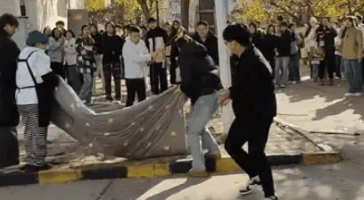 猫咪被困10米树梢，学生合力拉被子救援，却遗憾坠地慌乱逃走