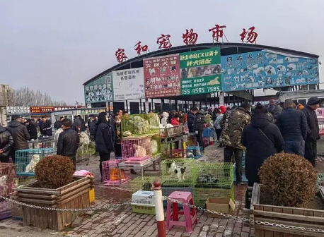收藏|国内27个宠物经济产业园大盘点 收藏|国内27个宠物经济产业园大盘点