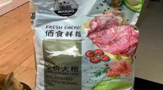 诺高狗粮属于什么档次 诺高狗粮属于什么档次