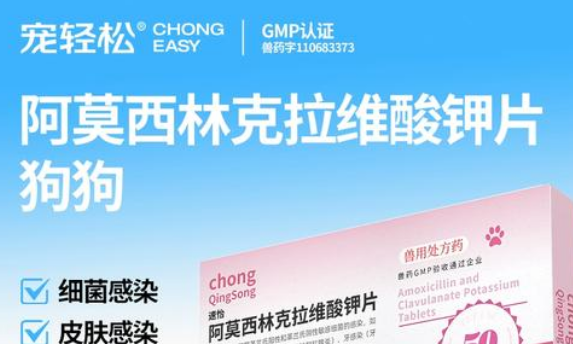 宠轻松是正规品牌吗