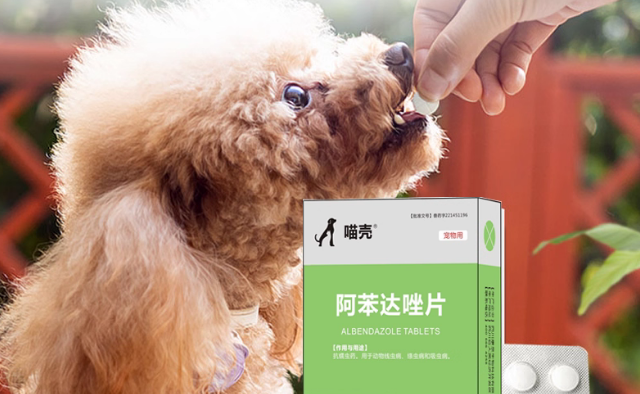 喵壳驱虫药好用吗 喵壳驱虫药好用吗