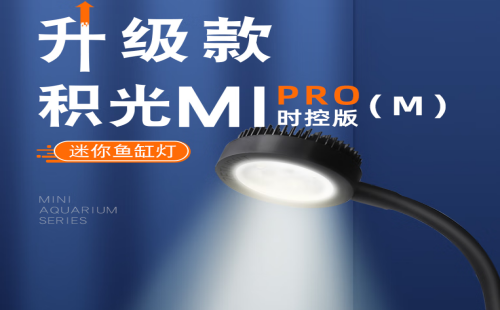 积光
