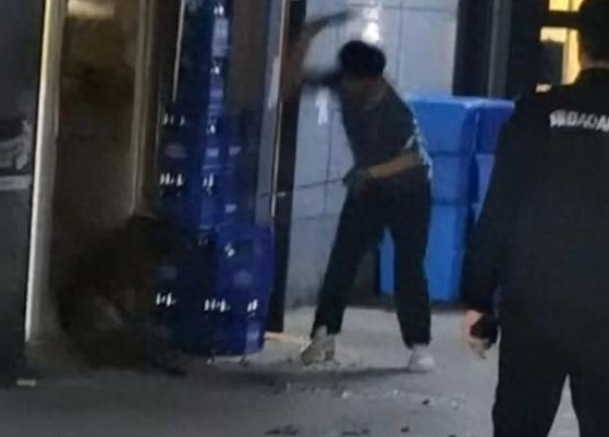 柯基犬主人持酒瓶暴打马犬事件进展:当事人被拘 柯基犬主人持酒瓶暴打马犬事件进展:当事人被拘