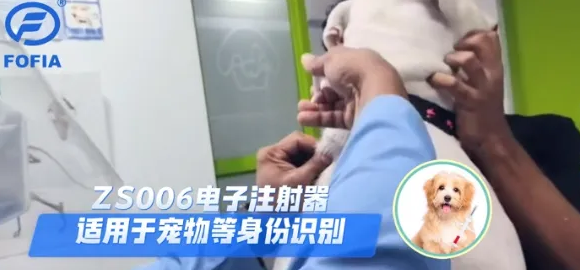 江苏的一座城,宠物经济爆发,产业规模向30亿迈进 江苏的一座城,宠物经济爆发,产业规模向30亿迈进