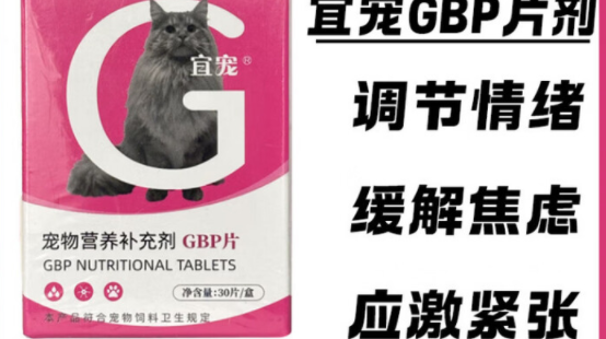 猫咪容易应激怎么办？快试试宜宠猫用GBP营养液