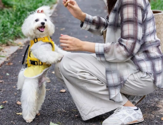 乡村遇上“毛孩子”:宠物经济正在成为乡村振兴新引擎 乡村遇上“毛孩子”:宠物经济正在成为乡村振兴新引擎