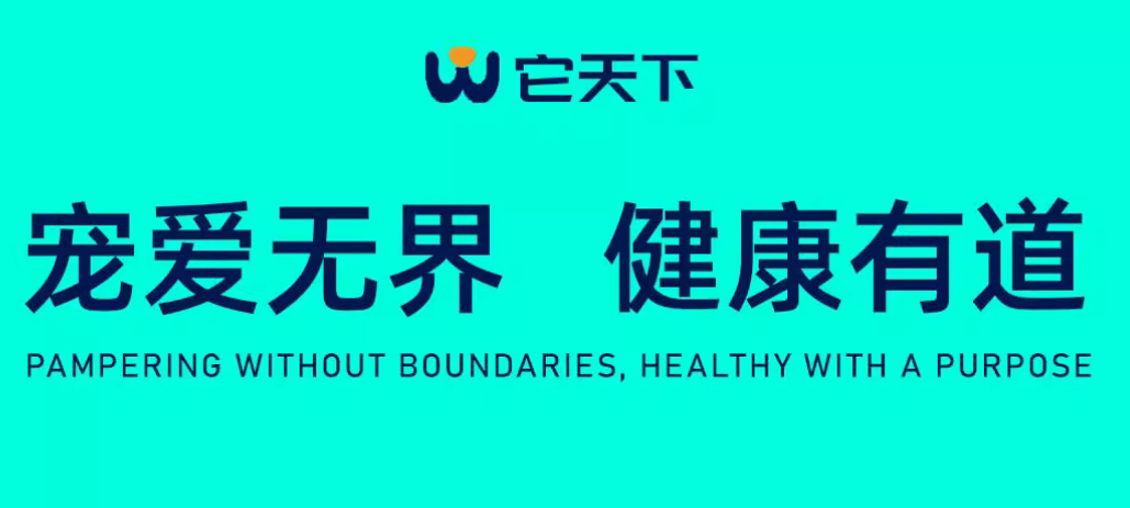 它天下属于什么档次 它天下属于什么档次