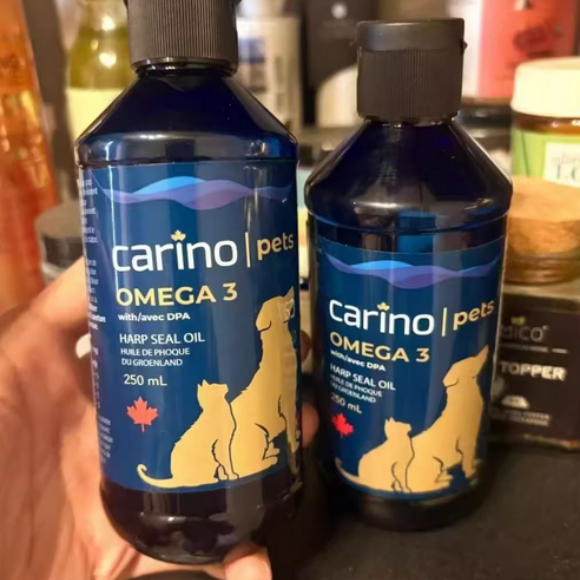 宠物海豹油与鱼油哪个好?卡里诺Carino值得选择 宠物海豹油与鱼油哪个好?卡里诺Carino值得选择