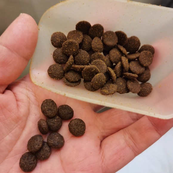 对消化好的狗粮推荐!FISH4DOGS呵护狗狗敏感肠胃 对消化好的狗粮推荐!FISH4DOGS呵护狗狗敏感肠胃