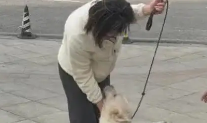 青岛女子刷视频刷到自己的狗在长沙,当事人:丢了三个月 青岛女子刷视频刷到自己的狗在长沙,当事人:丢了三个月