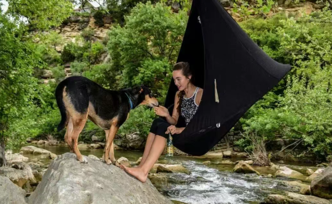 “反常识”爆款！宠物圈杀出一批黑马