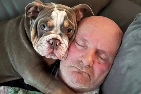 睡梦中被爱犬咬掉一根脚趾！巴西男子下半身瘫痪