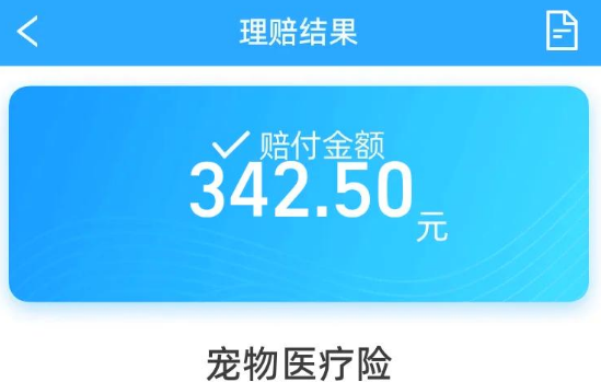 宠物保险怎么理赔？大地保险体验后我摸清了门道