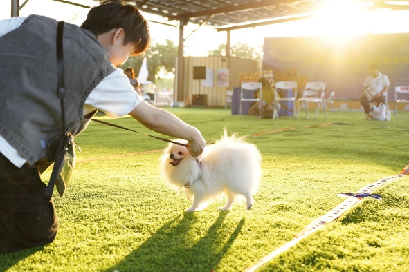 “宠物+文旅”新模式!从化首届宠物友好生活嘉年华启幕 “宠物+文旅”新模式!从化首届宠物友好生活嘉年华启幕