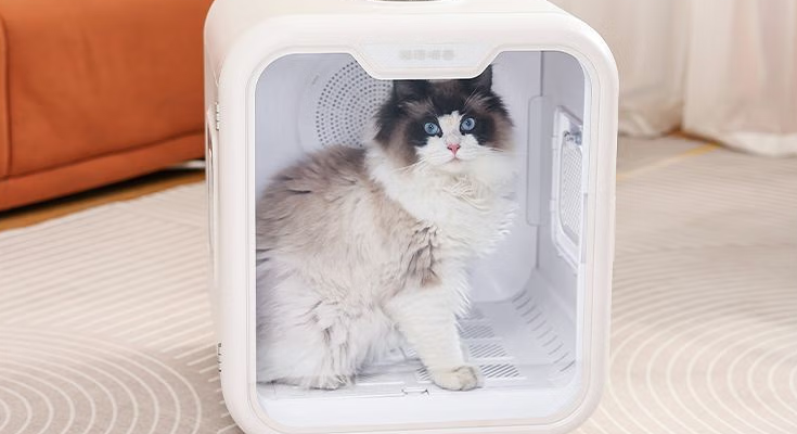 猫语喵香狗狗吹水机多少钱一个