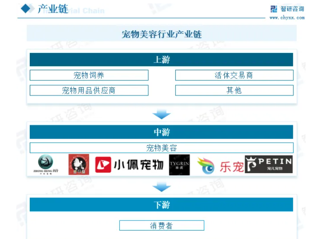 2025年中国宠物美容行业发展历程、市场规模及未来前景展望:宠物美容意识提高,行业规模达175.8亿元 2025年中国宠物美容行业发展历程、市场规模及未来前景展望:宠物美容意识提高,行业规模达175.8亿元