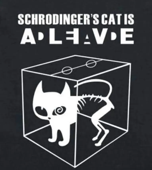 薛定谔的猫:既死又活的量子叠加态 薛定谔的猫:既死又活的量子叠加态