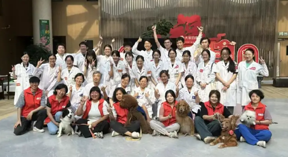 北京协和医院 × PFH治疗犬:共探老年健康关怀新路径 北京协和医院 × PFH治疗犬:共探老年健康关怀新路径