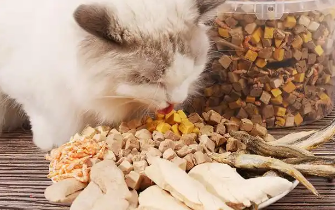 宠物食品