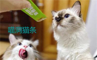 喵洞猫条有几种口味