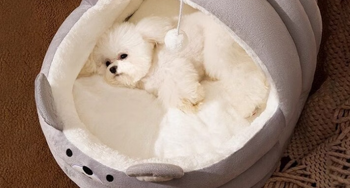 狗窝有哪些品牌推荐:OYKTN狗窝——给爱犬怀抱般的温暖陪伴 狗窝有哪些品牌推荐:OYKTN狗窝——给爱犬怀抱般的温暖陪伴