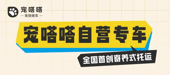 宠物托运怎么方便？宠嗒嗒宠物搭车全程呵护，让爱宠出行更安心