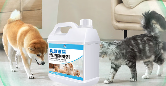 洁娘子是什么品牌 洁娘子是什么品牌