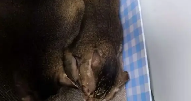 地铁口的流浪猫消失了，墙上字条暖哭全网：愿你被温柔以待