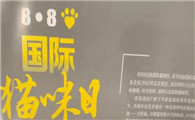 国际猫咪日跨境营销热点：解锁全球宠物用品商机