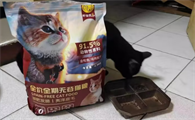 养宠家庭品质有哪些？BEYZK柠佳优宠猫粮何以成为品质之选？