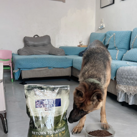 大型犬狗粮推荐哪个品牌?威吾科学配比助力爱宠全面发育 大型犬狗粮推荐哪个品牌?威吾科学配比助力爱宠全面发育