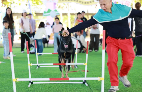 从化首届宠物友好生活嘉年华为期16天,解锁人宠同游新玩法 从化首届宠物友好生活嘉年华为期16天,解锁人宠同游新玩法