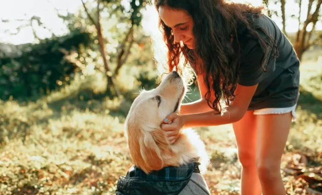 业绩高速增长,被催收购宠物企业 业绩高速增长,被催收购宠物企业