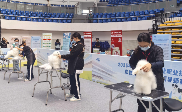 政校企联手办赛，为佛山“宠物经济”按下加速键